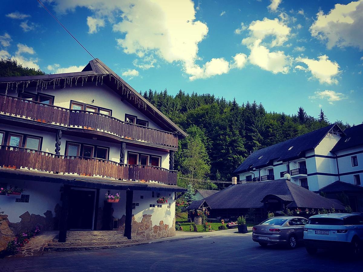 Hotel Casa Octavian Suczawica Zewnętrze zdjęcie