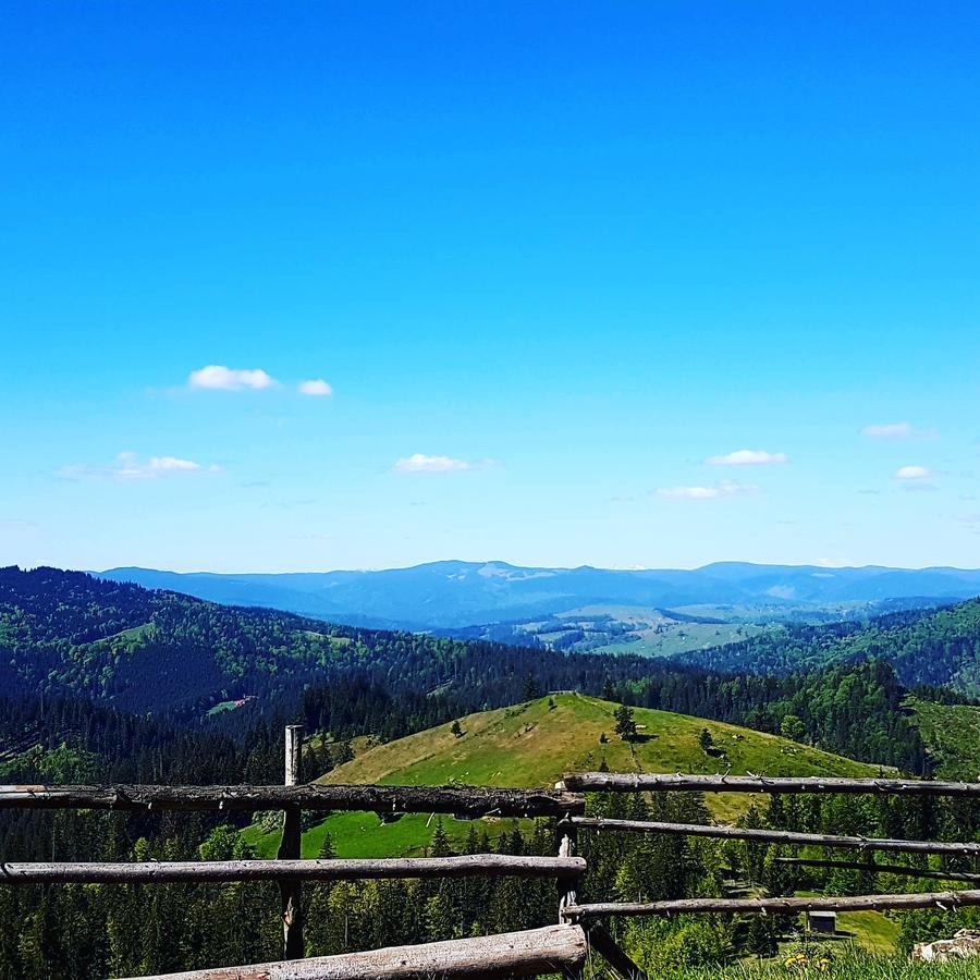 Hotel Casa Octavian Suczawica Zewnętrze zdjęcie
